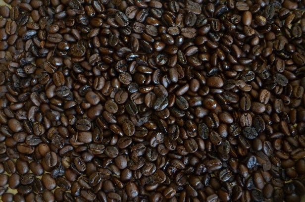 Roasted beans at the Zane Grey Estate
