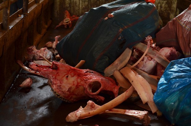 House of Haos Xishuangbanna Yunnan farmers market skull and bones