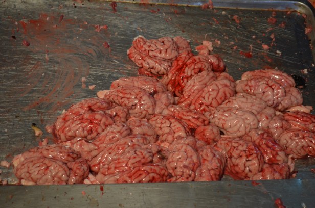 House of Haos Xishuangbanna Yunnan farmers market pig brains