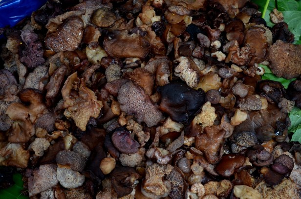 House of Haos Xishuangbanna Yunnan farmers market wood ear mushroom