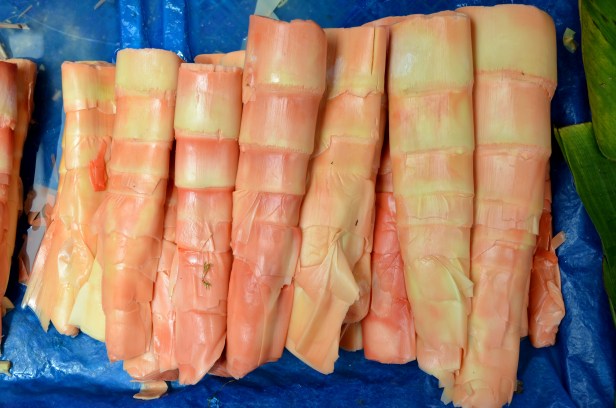 House of Haos Xishuangbanna Yunnan farmers market bamboo