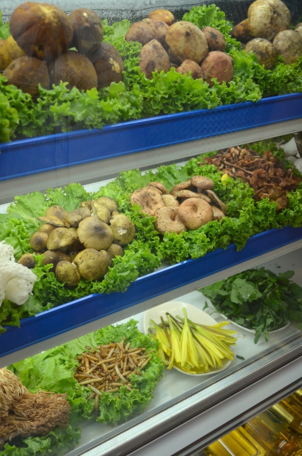 House of Haos Lao Zi Hao Mushroom Hotpot Kunming Yunnan 3