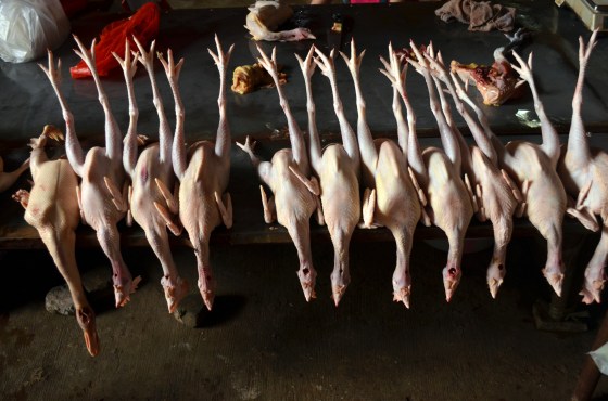 House of Haos Xishuangbanna Menghai Aini Village Market Chickens 4