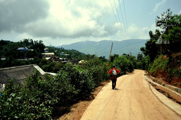 House of Haos Yunnan Puer Tea Hike 2