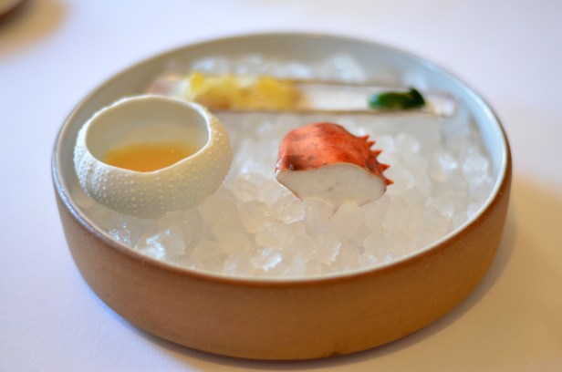 House of Haos Eleven Madison Park Flatiron NYC Tasting Menu Poached Lobster Razor Clam Sea Urchin Uni