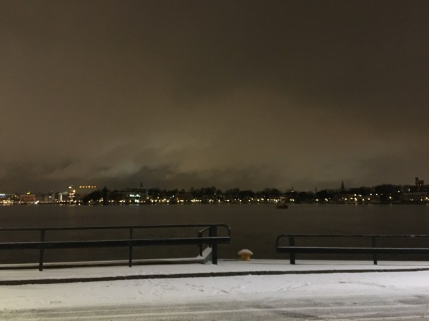 View of Djurgarden from Fotografiska, Stockholm Sweden